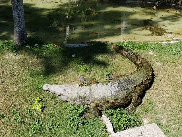 Parque Zoologico Nacional